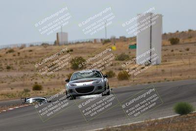 media/May-03-2025-Lucky Dog Racing (Sat) [[206de64b9d]]/Turn 6 (150pm-230pm)/